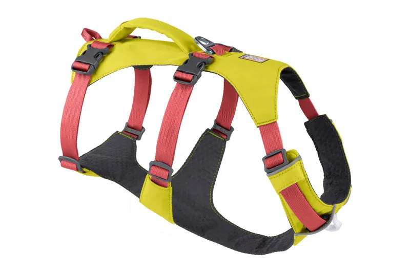 Ruffwear Flagline Dog Harness in Lichen Green-1